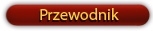 Przewodnik